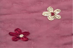 Women Embroidery Fabric