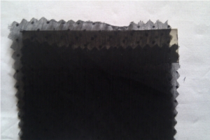 Women Exclusives Fabric