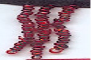 Women's Madeups