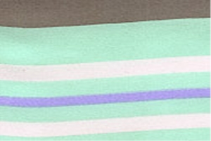Women Prints Fabric