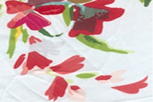 Women Prints Fabric